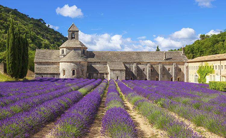 Le Mas Des Armouriers Violès Exterior foto
